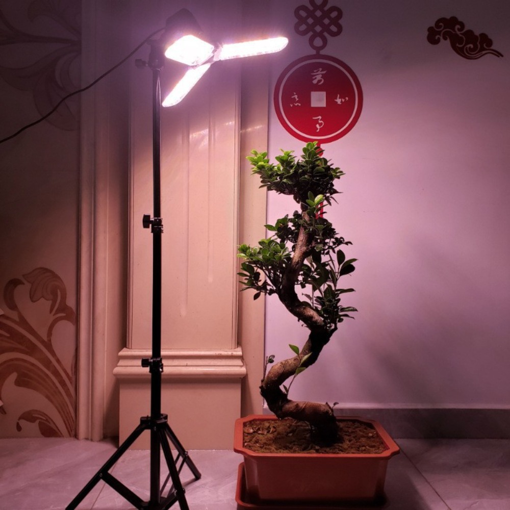 Light Bulb Stand 2M, E27 AC So - Photography Lighting Mount recension och pris