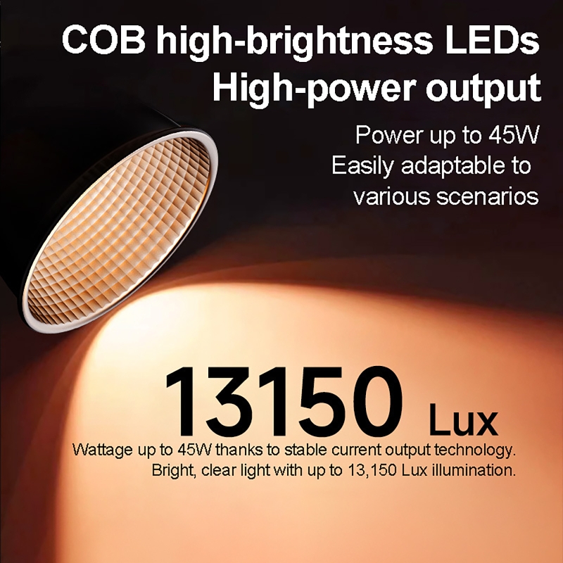60W RGB Video Light Portable L - Photography Lighting For Products recension och pris