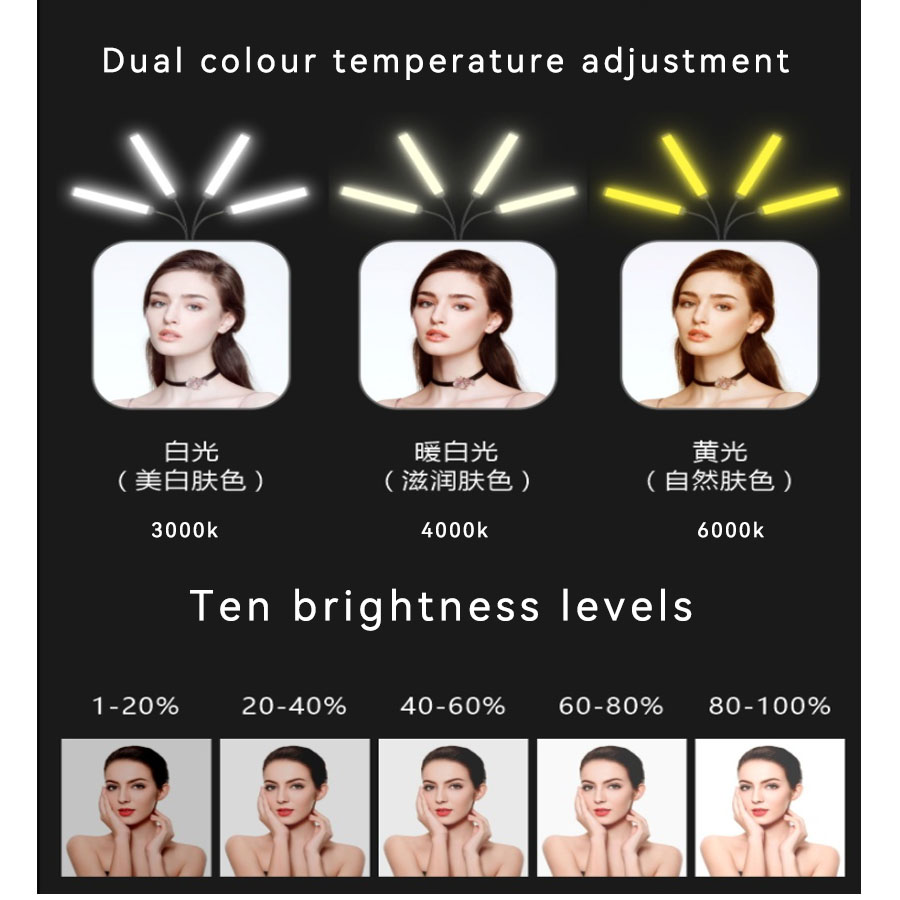 Dual Head / Quad Head / Hex He - Photography Lighting No Shadows recension och pris